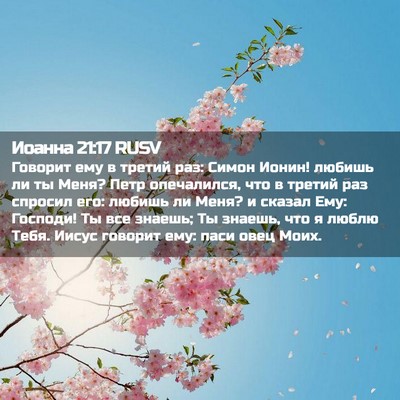 Picture 02 - Иоанна 21:17 RUSV - Говорит ему в третий раз: - Bible Verse Picture