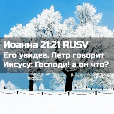 Picture 02 - Иоанна 21:21 RUSV - Его увидев, Петр говорит - Bible Verse Picture