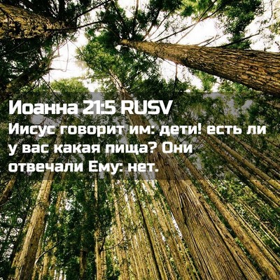 Picture 02 - Иоанна 21:5 RUSV - Иисус говорит им: дети! - Bible Verse Picture