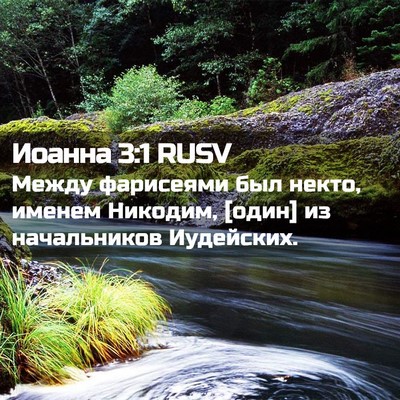 Picture 02 - Иоанна 3:1 RUSV - Между фарисеями был некто, - Bible Verse Picture