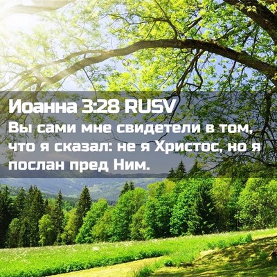 Picture 02 - Иоанна 3:28 RUSV - Вы сами мне свидетели в - Bible Verse Picture