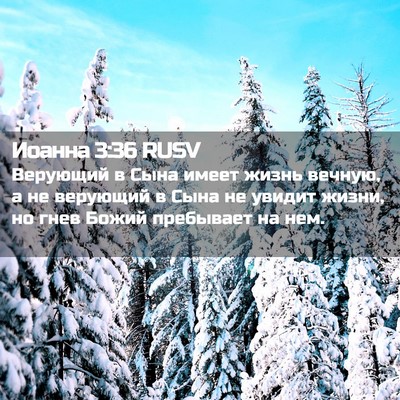 Picture 02 - Иоанна 3:36 RUSV - Верующий в Сына имеет - Bible Verse Picture