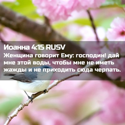 Picture 02 - Иоанна 4:15 RUSV - Женщина говорит Ему: - Bible Verse Picture