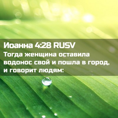 Picture 02 - Иоанна 4:28 RUSV - Тогда женщина оставила - Bible Verse Picture