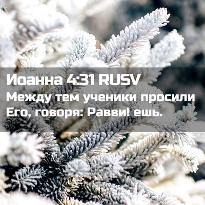 Picture 02 - Иоанна 4:31 RUSV - Между тем ученики просили - Bible Verse Picture