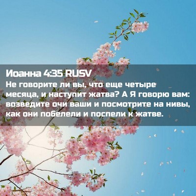 Picture 02 - Иоанна 4:35 RUSV - Не говорите ли вы, что еще - Bible Verse Picture