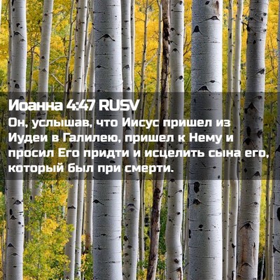 Picture 02 - Иоанна 4:47 RUSV - Он, услышав, что Иисус - Bible Verse Picture