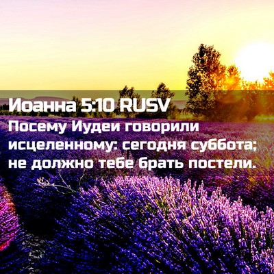 Picture 02 - Иоанна 5:10 RUSV - Посему Иудеи говорили - Bible Verse Picture