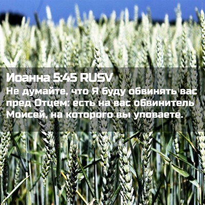 Picture 02 - Иоанна 5:45 RUSV - Не думайте, что Я буду - Bible Verse Picture
