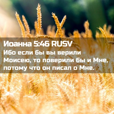 Picture 02 - Иоанна 5:46 RUSV - Ибо если бы вы верили - Bible Verse Picture