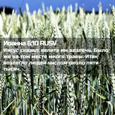 Picture 02 - Иоанна 6:10 RUSV - Иисус сказал: велите им - Bible Verse Picture