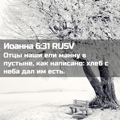 Picture 02 - Иоанна 6:31 RUSV - Отцы наши ели манну в - Bible Verse Picture
