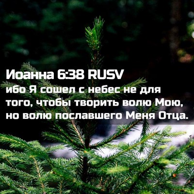 Picture 02 - Иоанна 6:38 RUSV - ибо Я сошел с небес не для - Bible Verse Picture