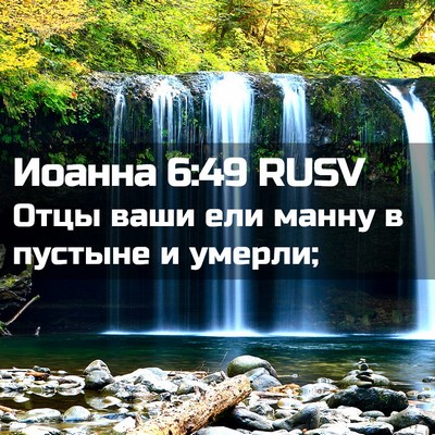 Picture 02 - Иоанна 6:49 RUSV - Отцы ваши ели манну в - Bible Verse Picture
