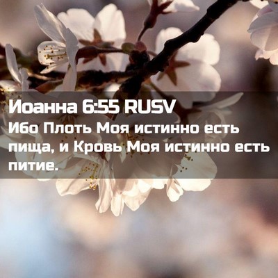 Picture 02 - Иоанна 6:55 RUSV - Ибо Плоть Моя истинно есть - Bible Verse Picture