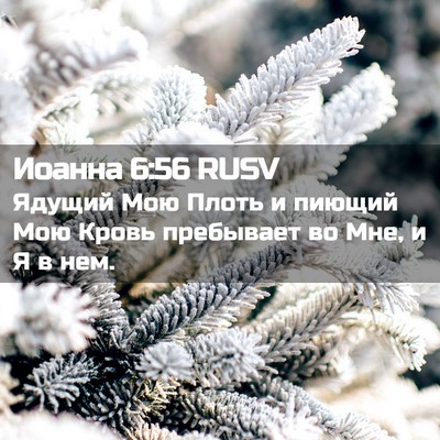 Picture 02 - Иоанна 6:56 RUSV - Ядущий Мою Плоть и пиющий - Bible Verse Picture
