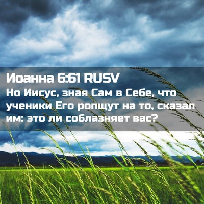 Picture 02 - Иоанна 6:61 RUSV - Но Иисус, зная Сам в Себе, - Bible Verse Picture