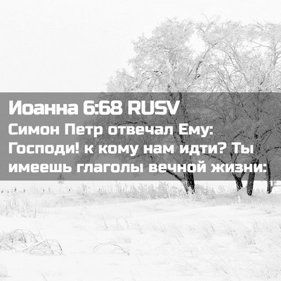Picture 02 - Иоанна 6:68 RUSV - Симон Петр отвечал Ему: - Bible Verse Picture