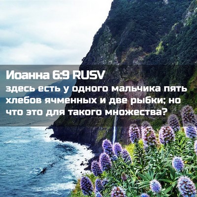Picture 02 - Иоанна 6:9 RUSV - здесь есть у одного - Bible Verse Picture