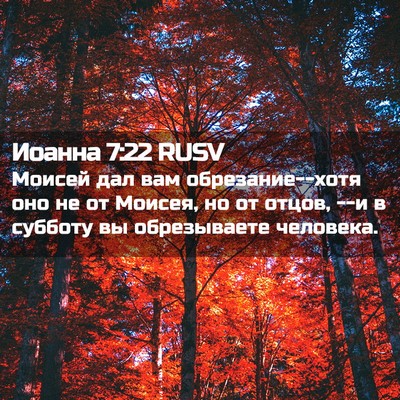 Picture 02 - Иоанна 7:22 RUSV - Моисей дал вам - Bible Verse Picture