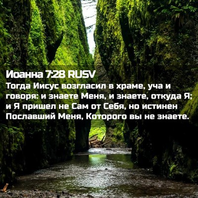 Picture 02 - Иоанна 7:28 RUSV - Тогда Иисус возгласил в - Bible Verse Picture