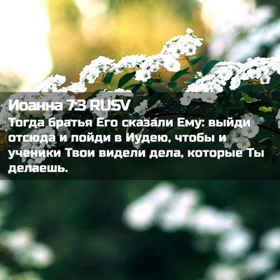 Picture 02 - Иоанна 7:3 RUSV - Тогда братья Его сказали - Bible Verse Picture
