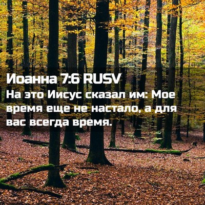 Picture 02 - Иоанна 7:6 RUSV - На это Иисус сказал им: Мое - Bible Verse Picture