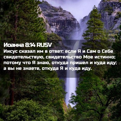 Picture 02 - Иоанна 8:14 RUSV - Иисус сказал им в ответ: - Bible Verse Picture