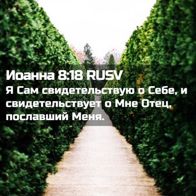 Picture 02 - Иоанна 8:18 RUSV - Я Сам свидетельствую о - Bible Verse Picture