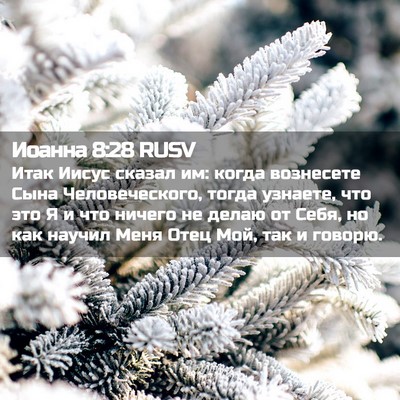 Picture 02 - Иоанна 8:28 RUSV - Итак Иисус сказал им: когда - Bible Verse Picture