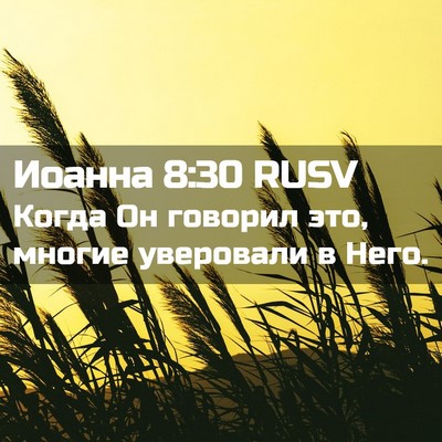 Picture 02 - Иоанна 8:30 RUSV - Когда Он говорил это, - Bible Verse Picture