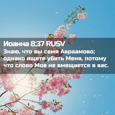 Picture 02 - Иоанна 8:37 RUSV - Знаю, что вы семя - Bible Verse Picture
