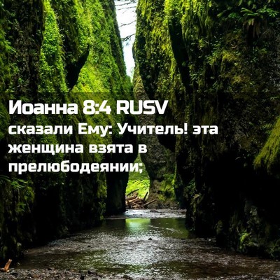 Picture 02 - Иоанна 8:4 RUSV - сказали Ему: Учитель! эта - Bible Verse Picture