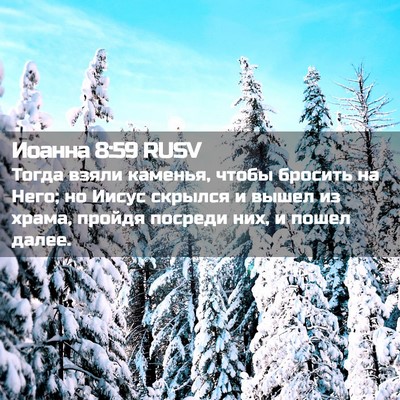 Picture 02 - Иоанна 8:59 RUSV - Тогда взяли каменья, чтобы - Bible Verse Picture