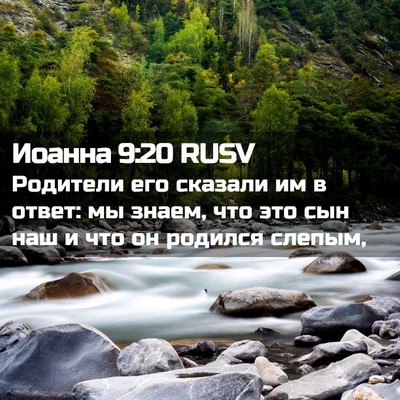 Picture 02 - Иоанна 9:20 RUSV - Родители его сказали им в - Bible Verse Picture