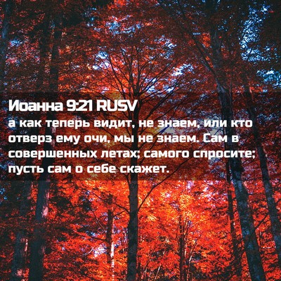 Picture 02 - Иоанна 9:21 RUSV - а как теперь видит, не - Bible Verse Picture