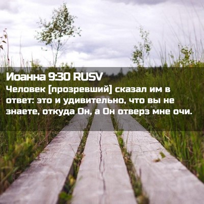 Picture 02 - Иоанна 9:30 RUSV - Человек [прозревший] - Bible Verse Picture