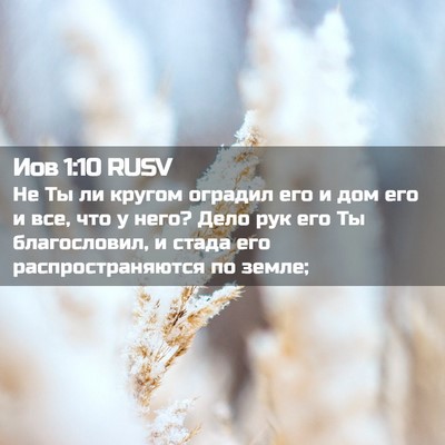 Picture 02 - Иов 1:10 RUSV - Не Ты ли кругом оградил его - Bible Verse Picture