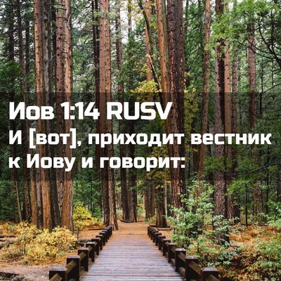 Picture 02 - Иов 1:14 RUSV - И [вот], приходит вестник к - Bible Verse Picture