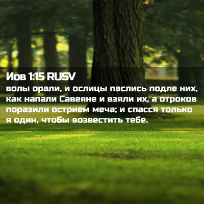 Picture 02 - Иов 1:15 RUSV - волы орали, и ослицы - Bible Verse Picture