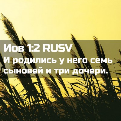 Picture 02 - Иов 1:2 RUSV - И родились у него семь - Bible Verse Picture