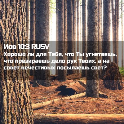 Picture 02 - Иов 10:3 RUSV - Хорошо ли для Тебя, что Ты - Bible Verse Picture