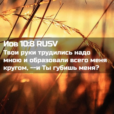 Picture 02 - Иов 10:8 RUSV - Твои руки трудились надо - Bible Verse Picture