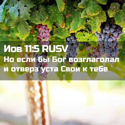 Picture 02 - Иов 11:5 RUSV - Но если бы Бог возглаголал - Bible Verse Picture