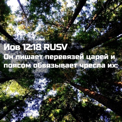 Picture 02 - Иов 12:18 RUSV - Он лишает перевязей царей - Bible Verse Picture