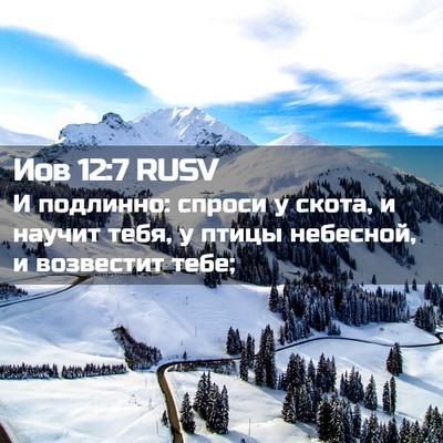 Picture 02 - Иов 12:7 RUSV - И подлинно: спроси у скота, - Bible Verse Picture