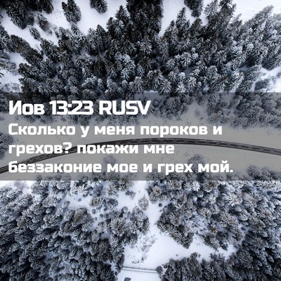 Picture 02 - Иов 13:23 RUSV - Сколько у меня пороков и - Bible Verse Picture