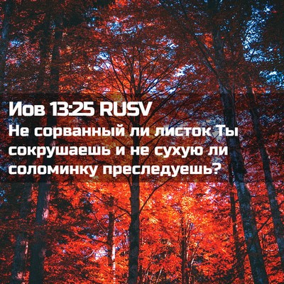 Picture 02 - Иов 13:25 RUSV - Не сорванный ли листок Ты - Bible Verse Picture