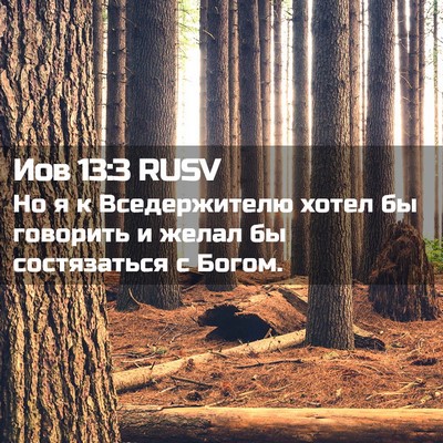 Picture 02 - Иов 13:3 RUSV - Но я к Вседержителю хотел - Bible Verse Picture