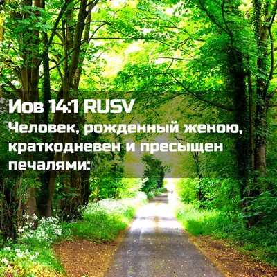 Picture 02 - Иов 14:1 RUSV - Человек, рожденный женою, - Bible Verse Picture